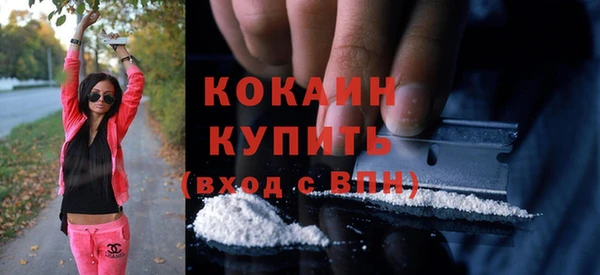 PSILOCYBIN Осинники